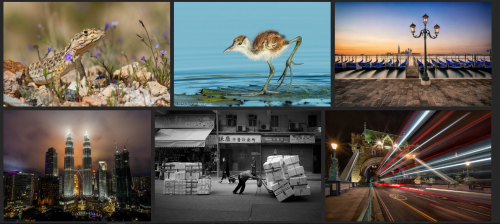 How to make a gallery for Flickr photos